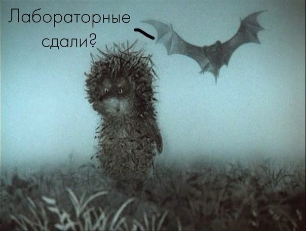 Настали тяжелые времена для студентов. Сессия в тумане