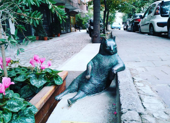 У Стамбулі встановили пам'ятник замисленому коту, який став інтернет-мемом