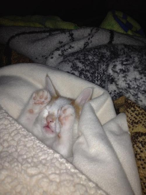 Доброе утро!