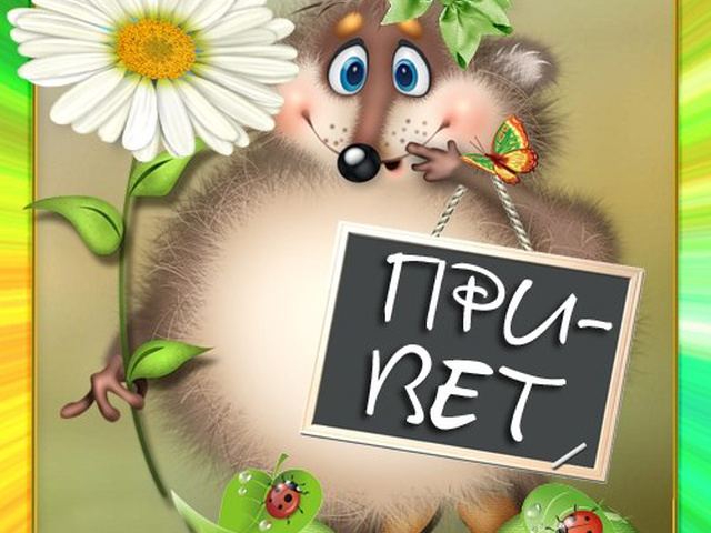 Открытки с ежиком с приветом, прикол встреча подпись