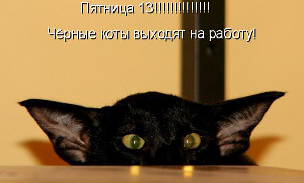 ТОП лучших котоматриц про пятницу 13-е