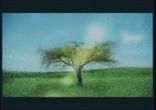 Если бы ты знал-Виолетта Дядюра "VIA-Летта" и Андрей Ковалев