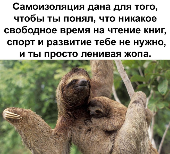 Коронавирус и лень