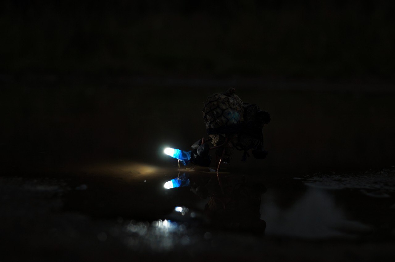 #ПутешествиеСосновойШишки часть 3