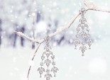 Різдвяна кампанія Chopard High Jewelry