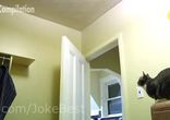 Приколы FAIL Compilation January 2014(3)