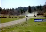 rallinefart