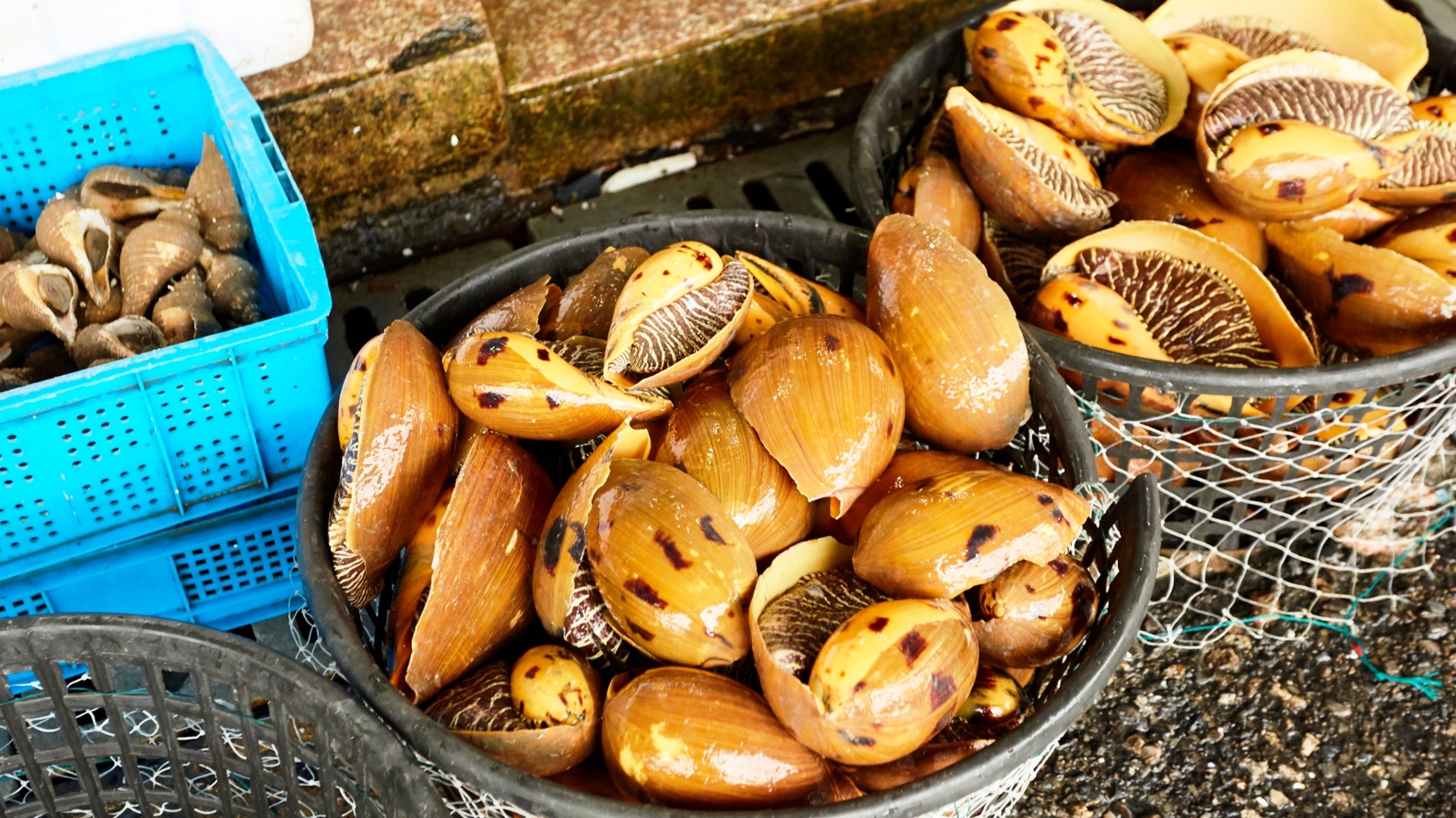 Інший Всесвіт очима популярного фотографа Андрія Саримсакова. Шанхай