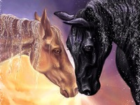 Картинка с Лошадьми