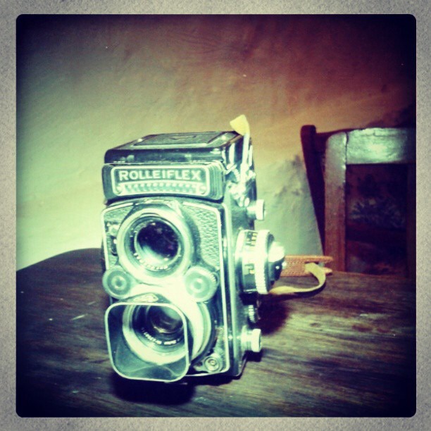 Рестораны Львова: Новий Ноїв ковчег