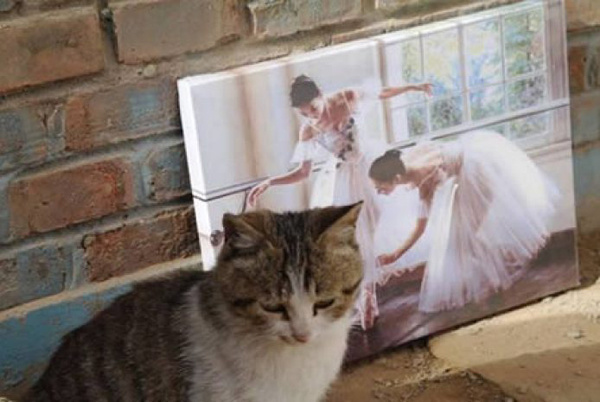 Ах, нет. Показалось