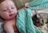 Малыш и "довольный" кот