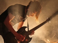 Amia Venera Landscape 