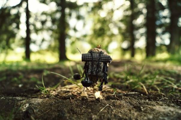 #ПутешествиеСосновойШишки часть 4