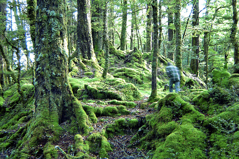 Кинотуризм: Властелин Колец