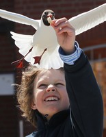 дети и животные