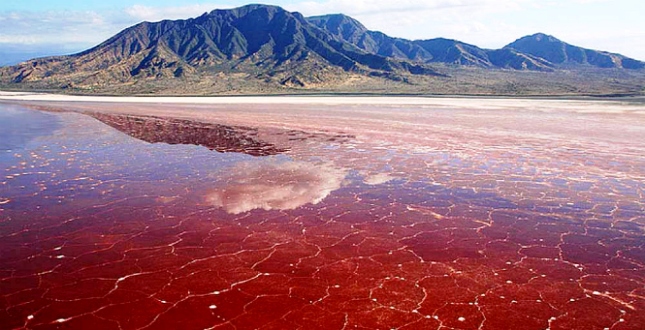 Живі камені, крижане волосся і багато іншого: 15 неймовірних феноменів природи