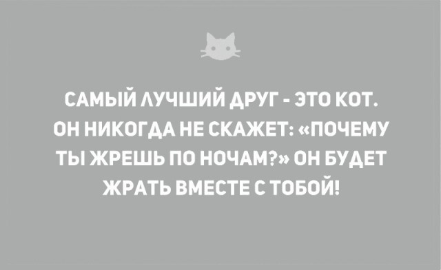 Без кота и жизнь не та