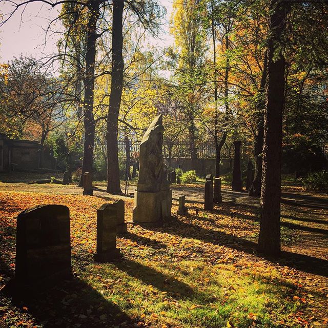 Instagram Алессандро Мікеле