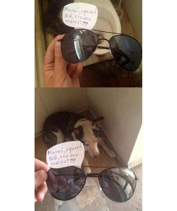 Око за око, зуб за зуб