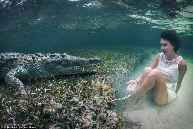 Смелая фотосессия с крокодилом