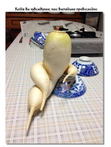 Предметы, которые отображают наши эмоции