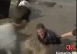 elephant attack
