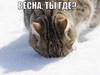 Весна, ты где?