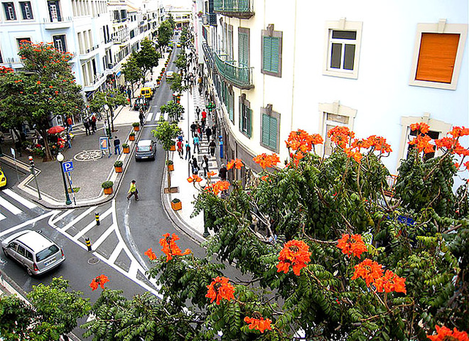 Фестиваль цветов на острове Мадейра