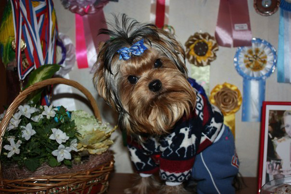 Малыши с бантиками