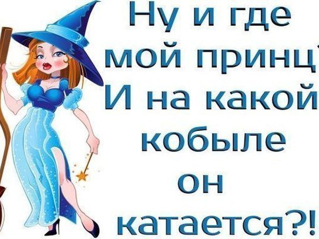 Картинки животных, прикольные картинки ты где