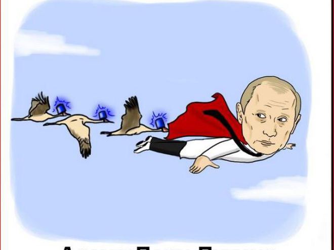 Путин и журавли фото