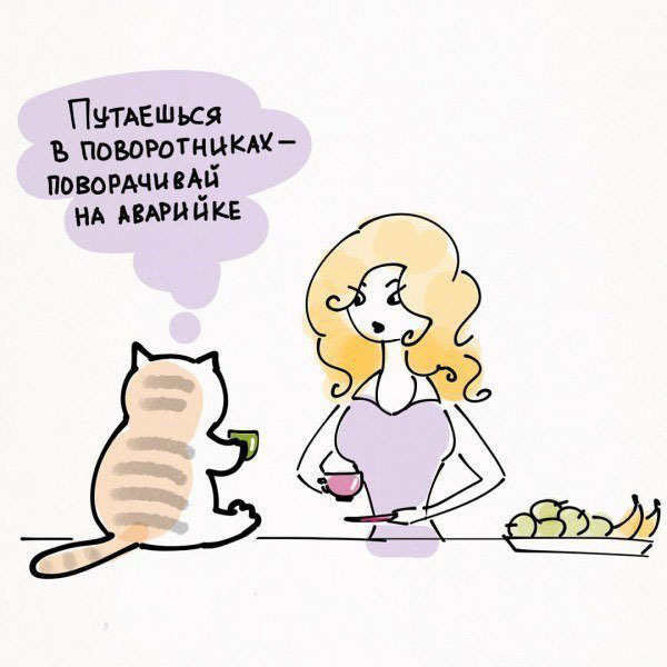 10 полезных советов от котика. Как надо относиться к жизни