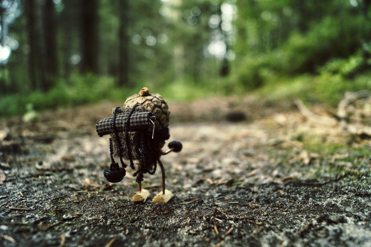 #ПутешествиеСосновойШишки часть 7