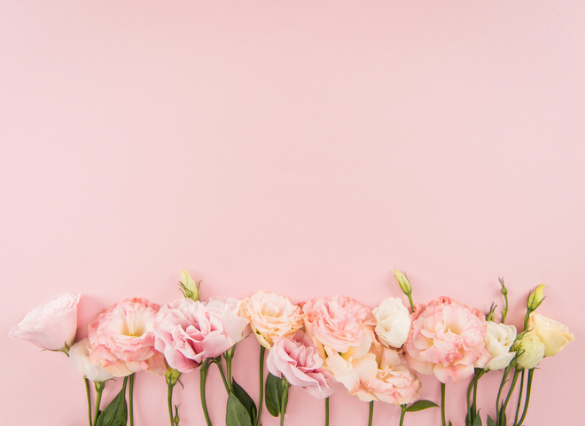 Cедміці в 2020 році