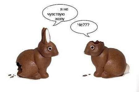 Шоколадные зайцы