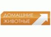 Домашние животные