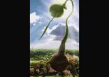 Джон Уиндем  - День триффидов часть 2  [Фантастика. Вадим Максимов]