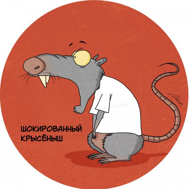 А кто ты по утрам?