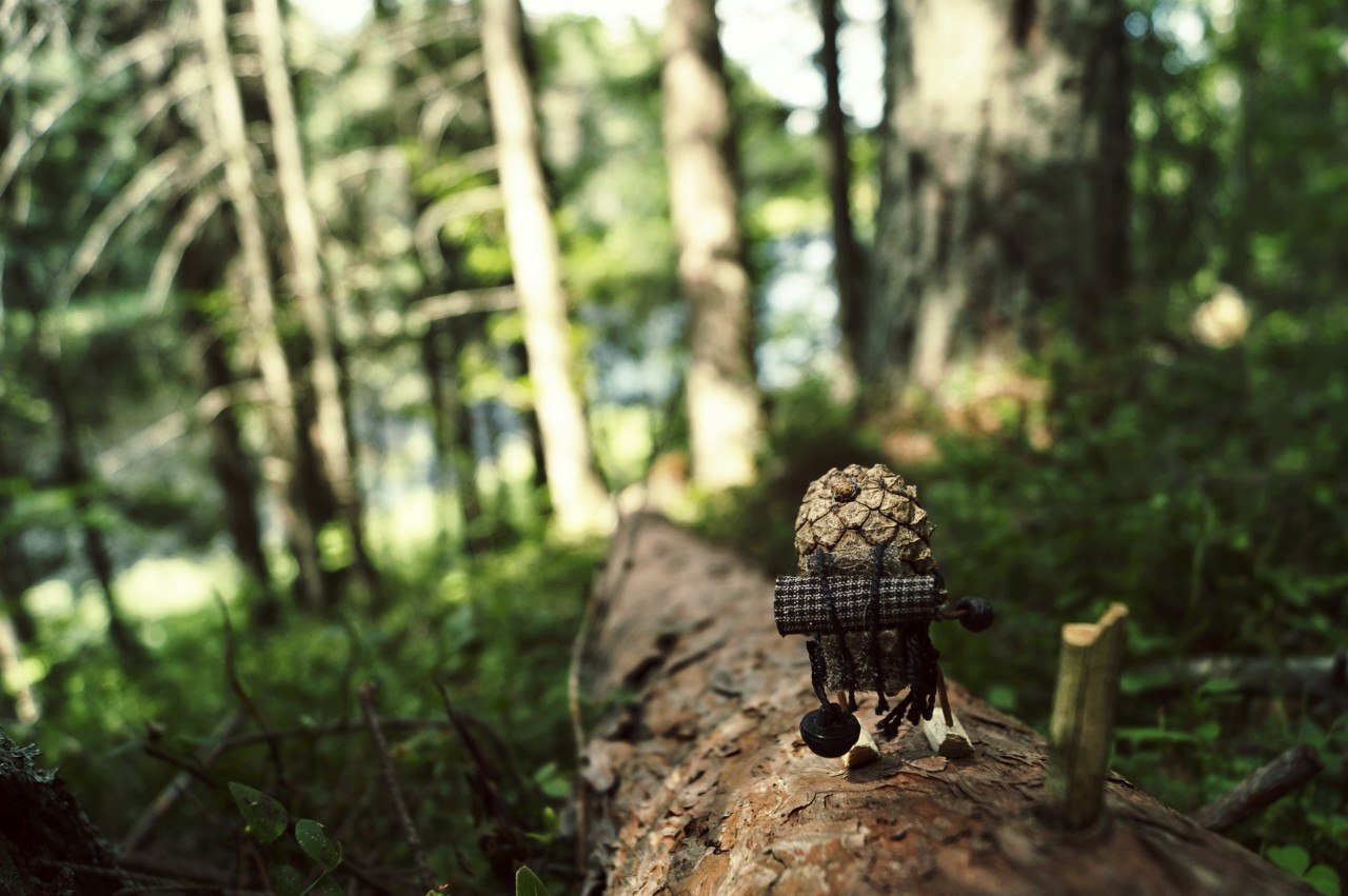 #ПутешествиеСосновойШишки часть 6