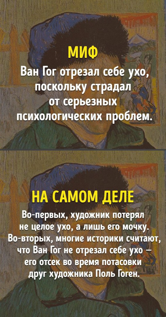 Правда и миф из школьной программы