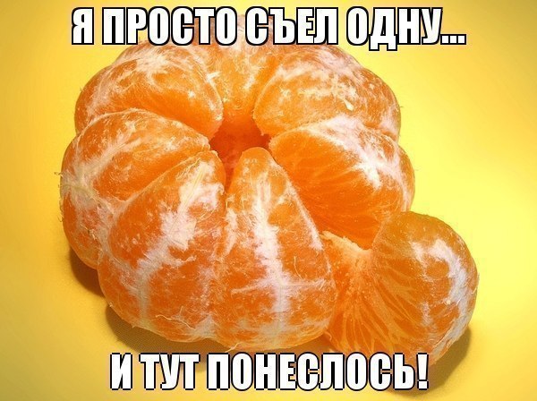 Новогодние семечки