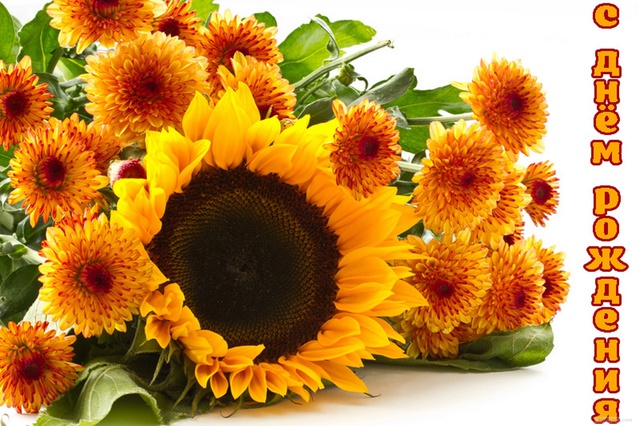 Открытки с Днём Рождения