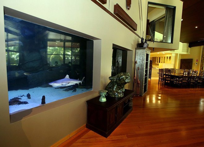 Готель з дикими тваринами: Jamala Wildlife Lodge