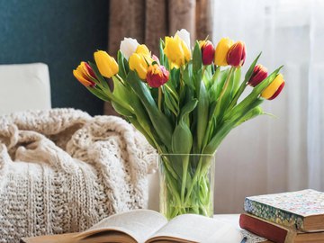 Як доглядати за тюльпанами у вазі?