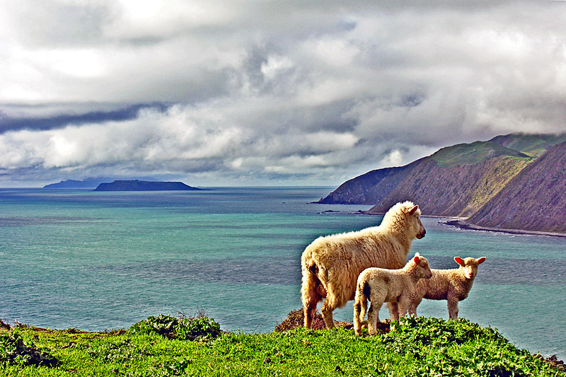 Кинотуризм: Властелин Колец