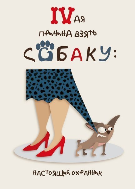 7 причин завести собаку!