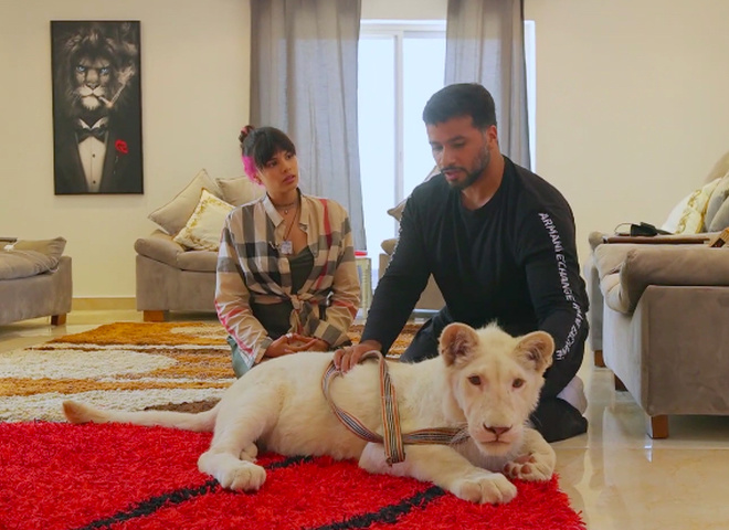 Michelle Andrade и Лео