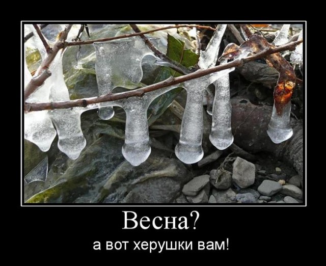 Демотиваторы про весну