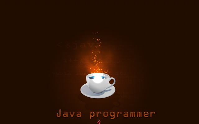 Java programmer